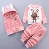 2025 Winter Casual Baby Clothing Set 3pcs Kids Bear Pattern Hooded Coat Warm Outfits for Children