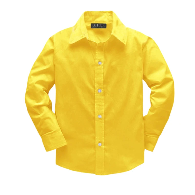 Boys Clothing shirts Autumn Long Sleeve embroidery Little Horse pattern Children Tops Birthday party Kids shirt school uniform
