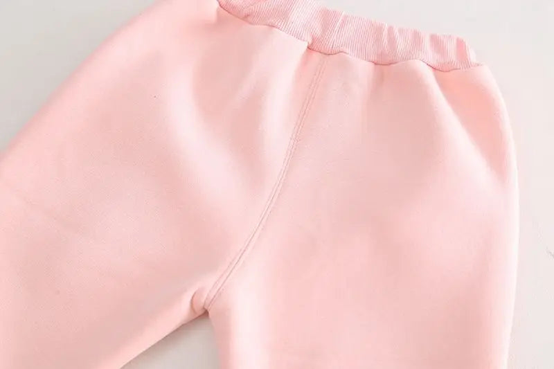 Conjunto de ropa para bebé niña, otoño e invierno, nuevo, de felpa gruesa, con capucha, suéter, abrigo y pantalones, conjunto de dos piezas