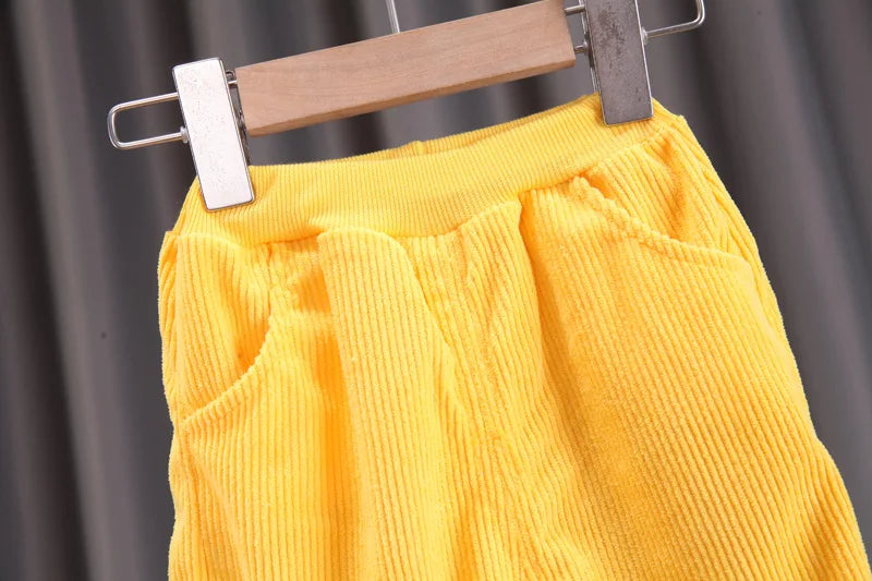 Conjunto de ropa para bebés y niñas pequeñas, primavera, otoño, pana, dibujos animados, conjuntos de ropa para niños, chaquetas con capucha y pantalones, traje para niños de 0 a 5 años