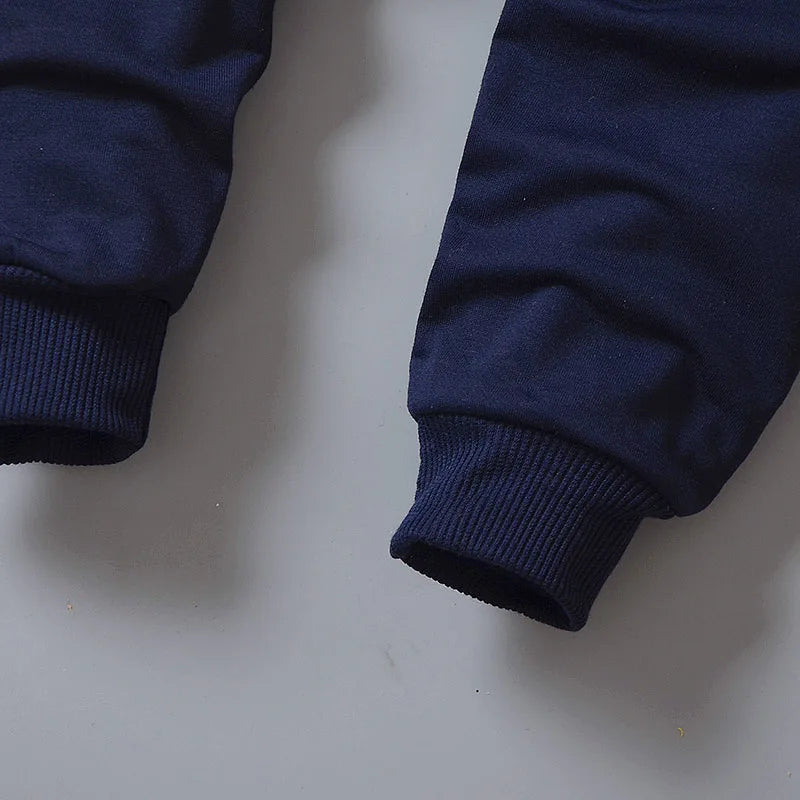 Conjunto de ropa para bebés y niñas pequeñas, primavera, otoño, pana, dibujos animados, conjuntos de ropa para niños, chaquetas con capucha y pantalones, traje para niños de 0 a 5 años