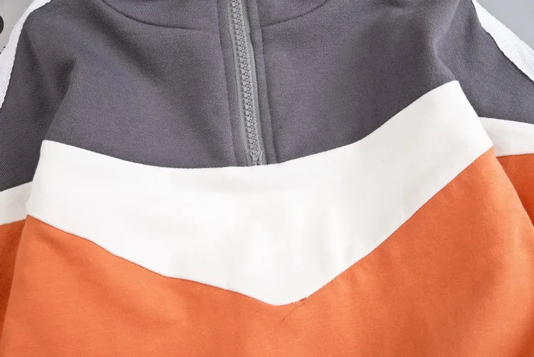 Conjunto de ropa para bebés y niñas pequeñas, primavera, otoño, pana, dibujos animados, conjuntos de ropa para niños, chaquetas con capucha y pantalones, traje para niños de 0 a 5 años