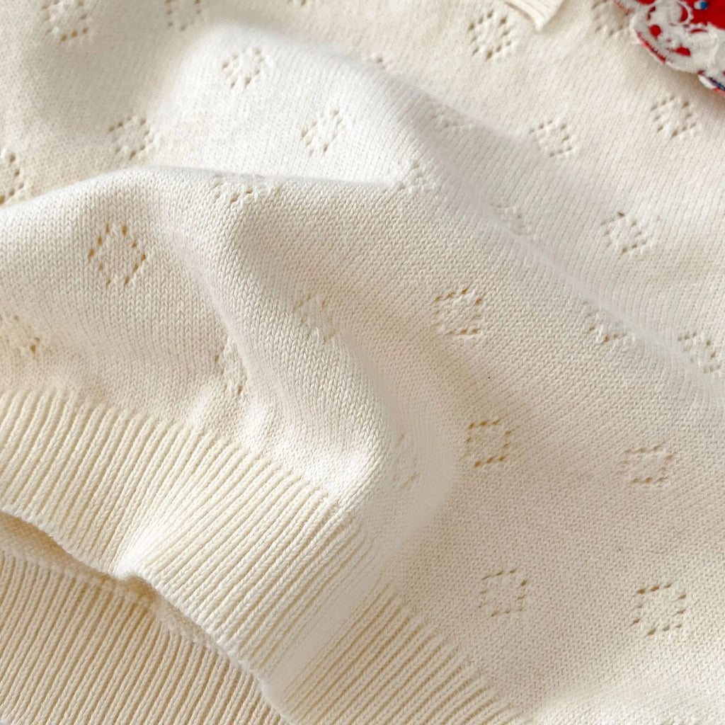 Autumn clothing for infants, young children, girls, babies, sweet big lace collars, knitted pullovers, tops, basecoats