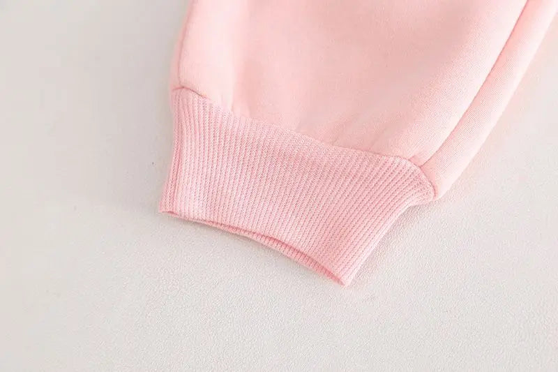 Conjunto de ropa para bebé niña, otoño e invierno, nuevo, de felpa gruesa, con capucha, suéter, abrigo y pantalones, conjunto de dos piezas
