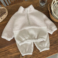 1-3 Year Baby Boy Girls Clothing Set Winter Autumn Lamb Fleece Sweatshirt Pants 2Pc Children Suit Toddler Kid Casual Outfit